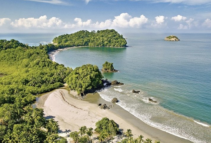 Wildlife Pur von der Karibik zum Pazifik - Manuel Antonio Nationalpark