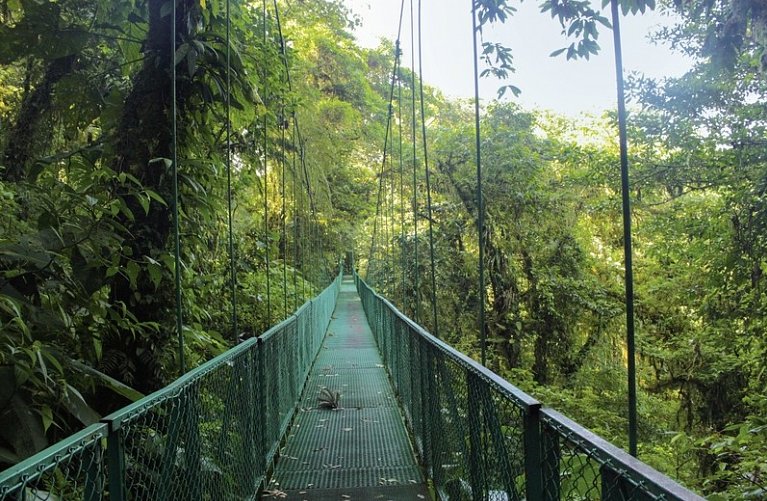 Geheimnisvolles Costa Rica: Nebelwald und Rote Aras