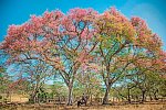 Unentdecktes Costa Rica