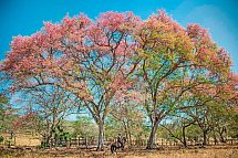 Unentdecktes Costa Rica