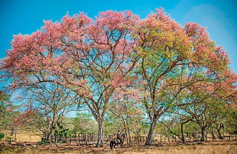 Unentdecktes Costa Rica