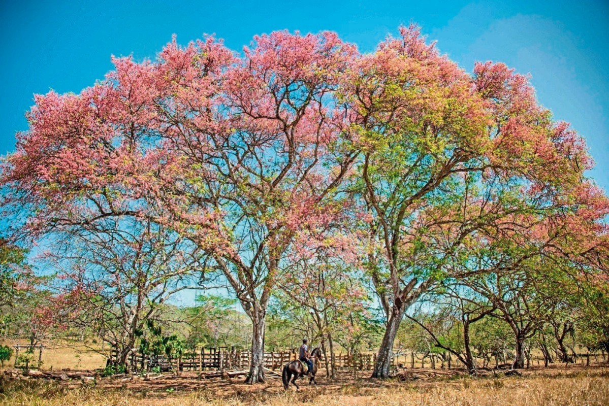 Unentdecktes Costa Rica