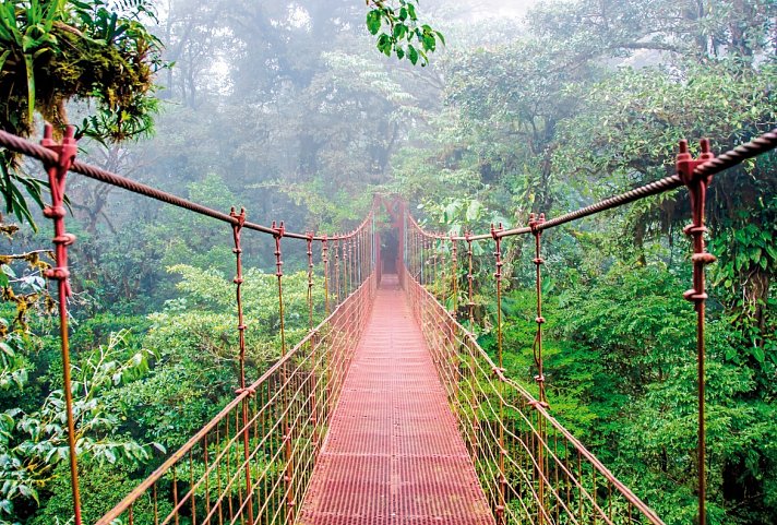 Unentdecktes Costa Rica - Monteverde Nebelwald