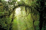 Unentdecktes Costa Rica