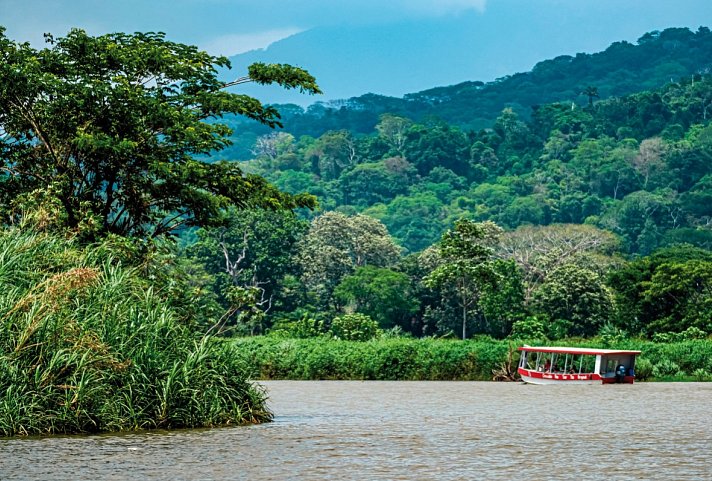 Costa Rica - Fernab der Pfade - Carara Nationalpark