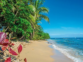 Abenteuer zwischen Vulkan und Regenwald - Strand Puerto Viejo
