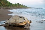 Abenteuer zwischen Vulkan und Regenwald