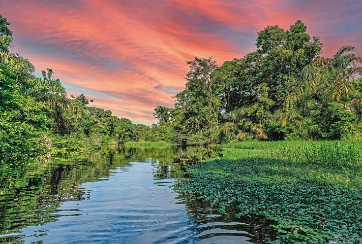 Karibik- und Dschungeltour - Tortuguero Nationalpark