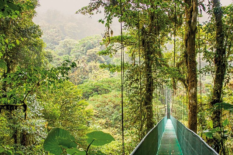 Tropisches Abenteuer - Monteverde