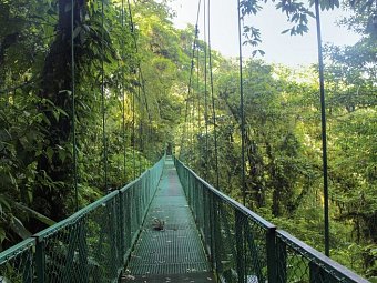 Tropisches Abenteuer - Hängebrücken von Monteverde