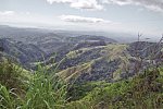 Nebelwald Monteverde