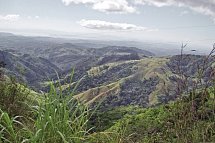 Nebelwald Monteverde
