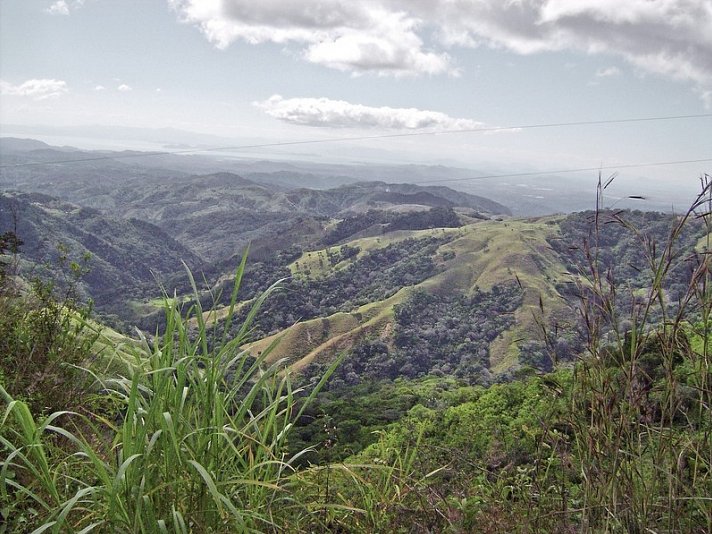 Nebelwald Monteverde