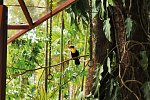 Nationalpark Manuel Antonio
