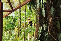 Nationalpark Manuel Antonio