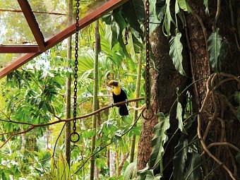 Nationalpark Manuel Antonio