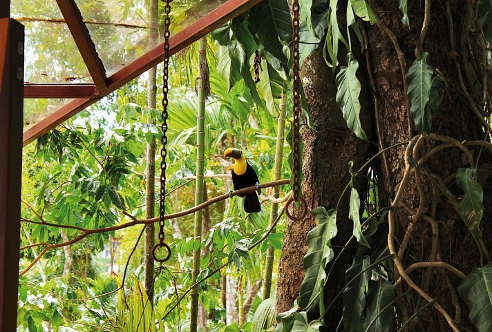 Nationalpark Manuel Antonio