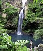 Nationalpark Rincón de le Vieja