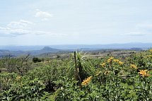 Nationalpark Rincón de le Vieja