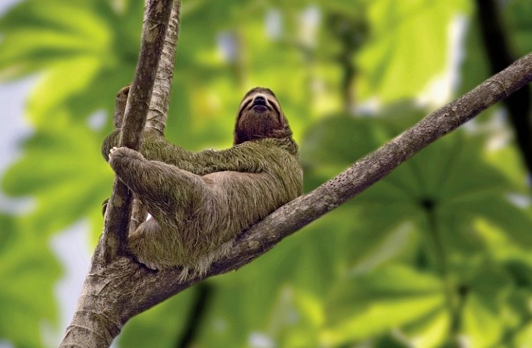 Farbenmeer Costa Rica