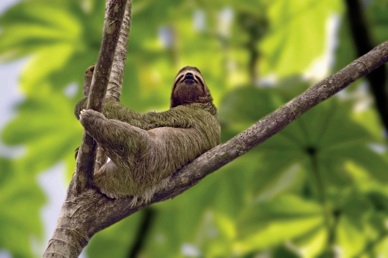 Farbenmeer Costa Rica