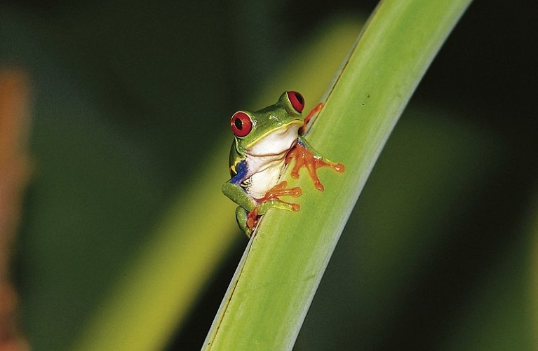 Abenteuer zwischen Vulkan und Regenwald (letzte Nacht in San José)