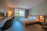 Hotel Des Alpes