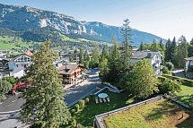Hotel Des Alpes
