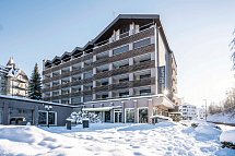 Hotel Des Alpes