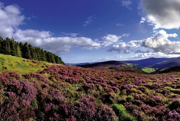 Roadtrip Wild Atlantic Way (ab Shannon) - Wicklow Mountains