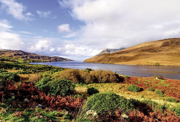 Roadtrip Wild Atlantic Way (ab Shannon) - Killary Harbour
