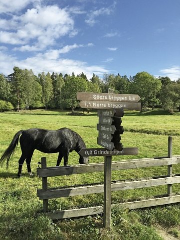 Stockholm - Inselhüpfen auf den Schären - Insel Grinda
