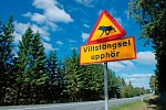 Von Küste zu Küste (ab Stockholm)