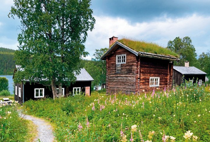 Natur pur – Nordschwedens Traumstraßen - Fatmomakke