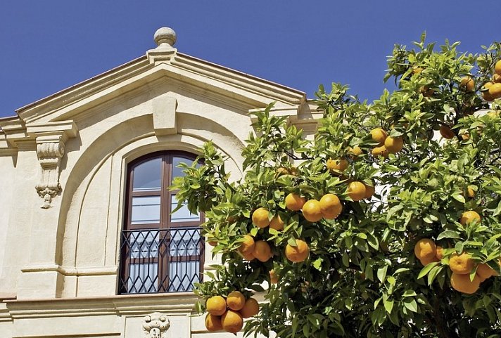 Das Beste von Andalusien (ab/bis Sevilla)