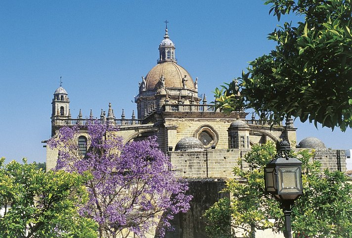 Das Beste von Andalusien (ab/bis Sevilla) - Jerez de la Frontera