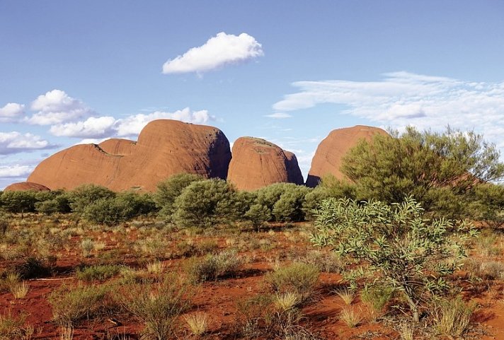 Auf den Spuren der Regenbogenschlange - Kata Tjuta