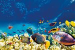 Traumzeit Australien