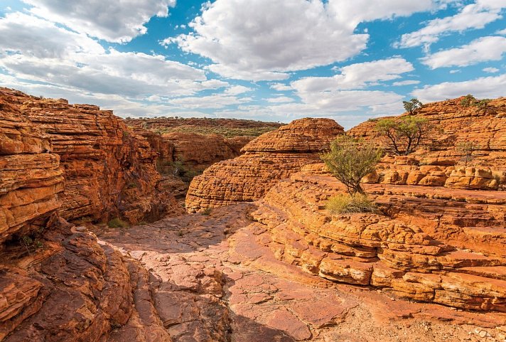 Naturparadiese und Weltstädte - Kings Canyon