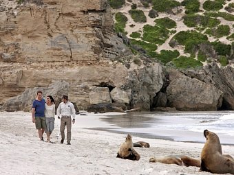 Naturparadiese und Weltstädte - Kangaroo Island