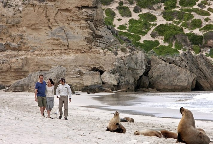 Naturparadiese und Weltstädte - Kangaroo Island