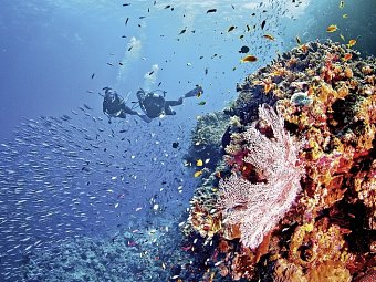 Höhepunkte Australiens (ab Sydney/bis Melbourne) - Great Barrier Reef