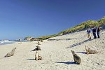 Höhepunkte Australiens (ab Sydney/bis Melbourne)