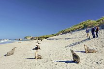 Höhepunkte Australiens (ab Sydney/bis Melbourne) - Seal Bay, Kangaroo Island