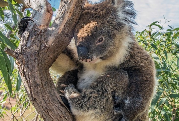 Kontrastreiches Australien