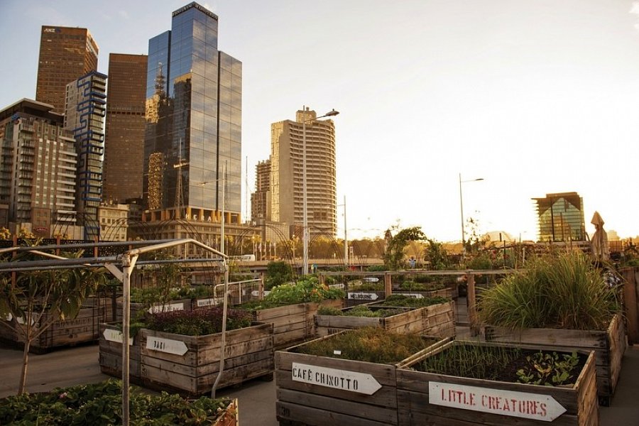 Kontrastreiches Australien - Melbourne