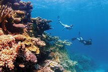 Kontrastreiches Australien - Great Barrier Reef
