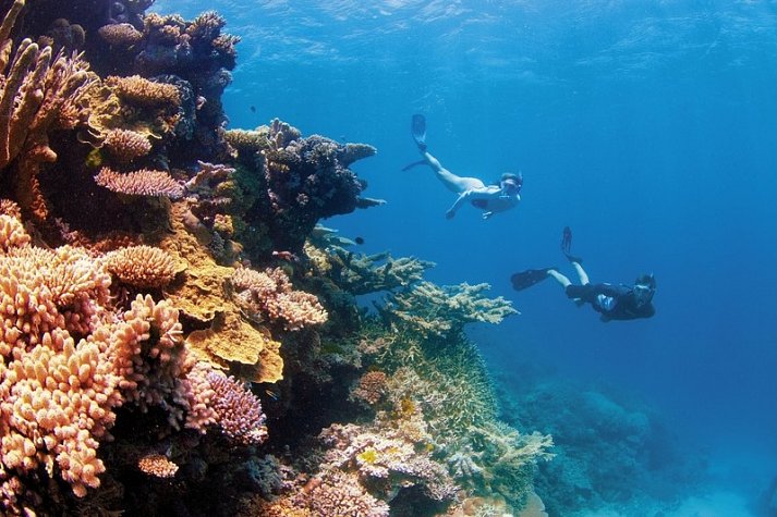 Kontrastreiches Australien - Great Barrier Reef