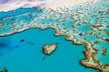 Kontrastreiches Australien - Heart Reef Whitsundays