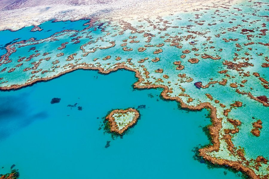 Kontrastreiches Australien - Heart Reef Whitsundays